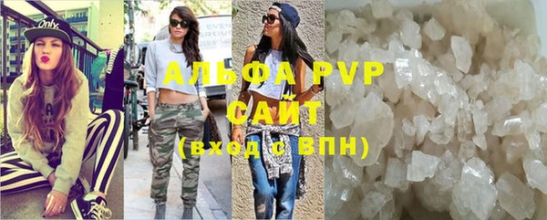 стаф Баксан