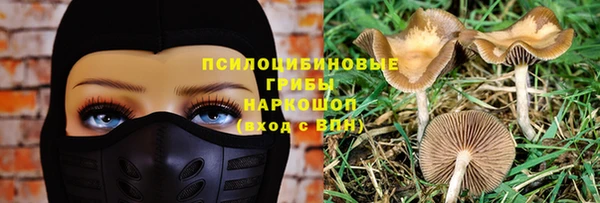 2c-b Куйбышев