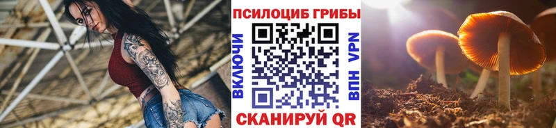 купить OMG сайт Псилоцибиновые грибы Psilocybe Среднеколымск