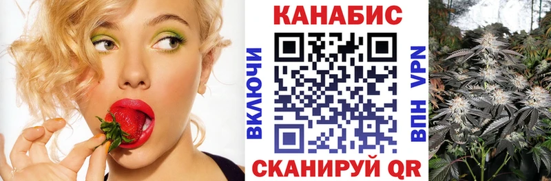 Бошки Шишки планчик  купить наркотик  darknet наркотические препараты  Среднеколымск 